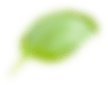 Главная Декорация
