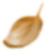 Главная Декорация